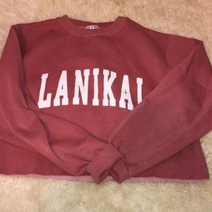 Lanikai brandy melville cropped sweater